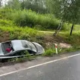 Strażacy z OSP Inowłódz usunęli gniazdo owadów i złamane drzewo na DK48